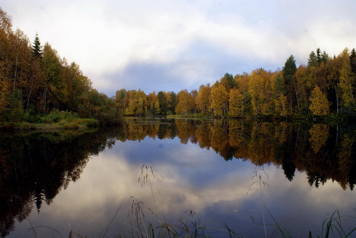 Зеркальное изображение онлайн фото бесплатно