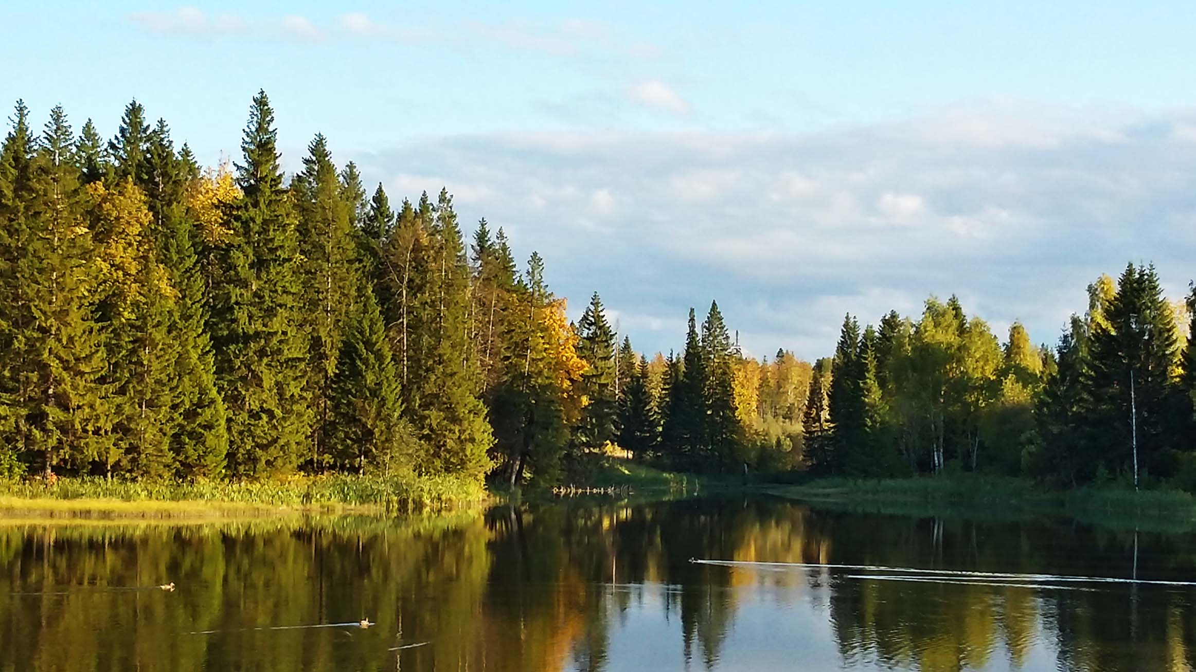 озеро в августе