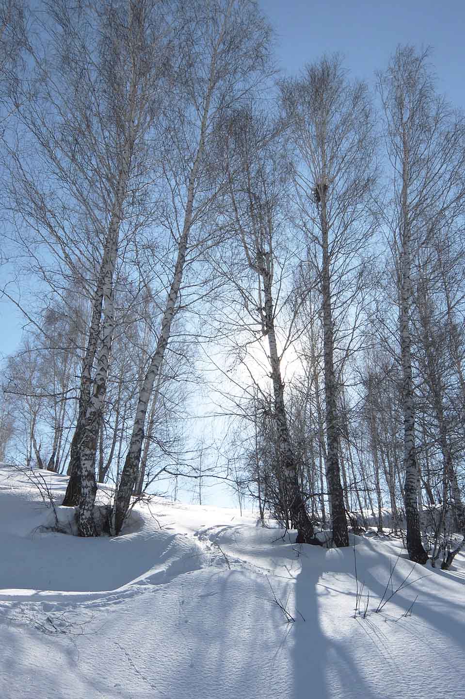 Весна не за горами картинки