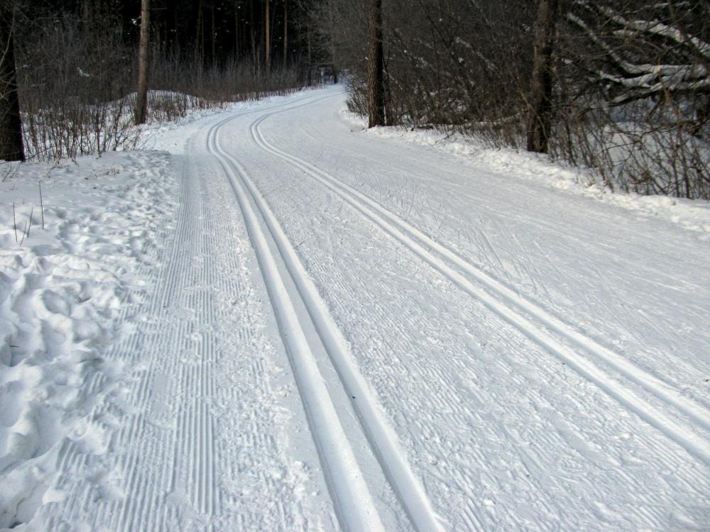 Классическая лыжная трасса