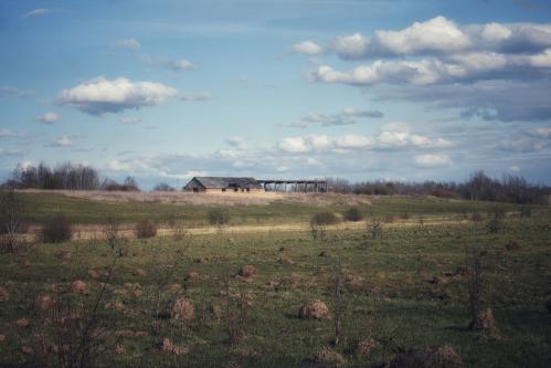 Spring landscape