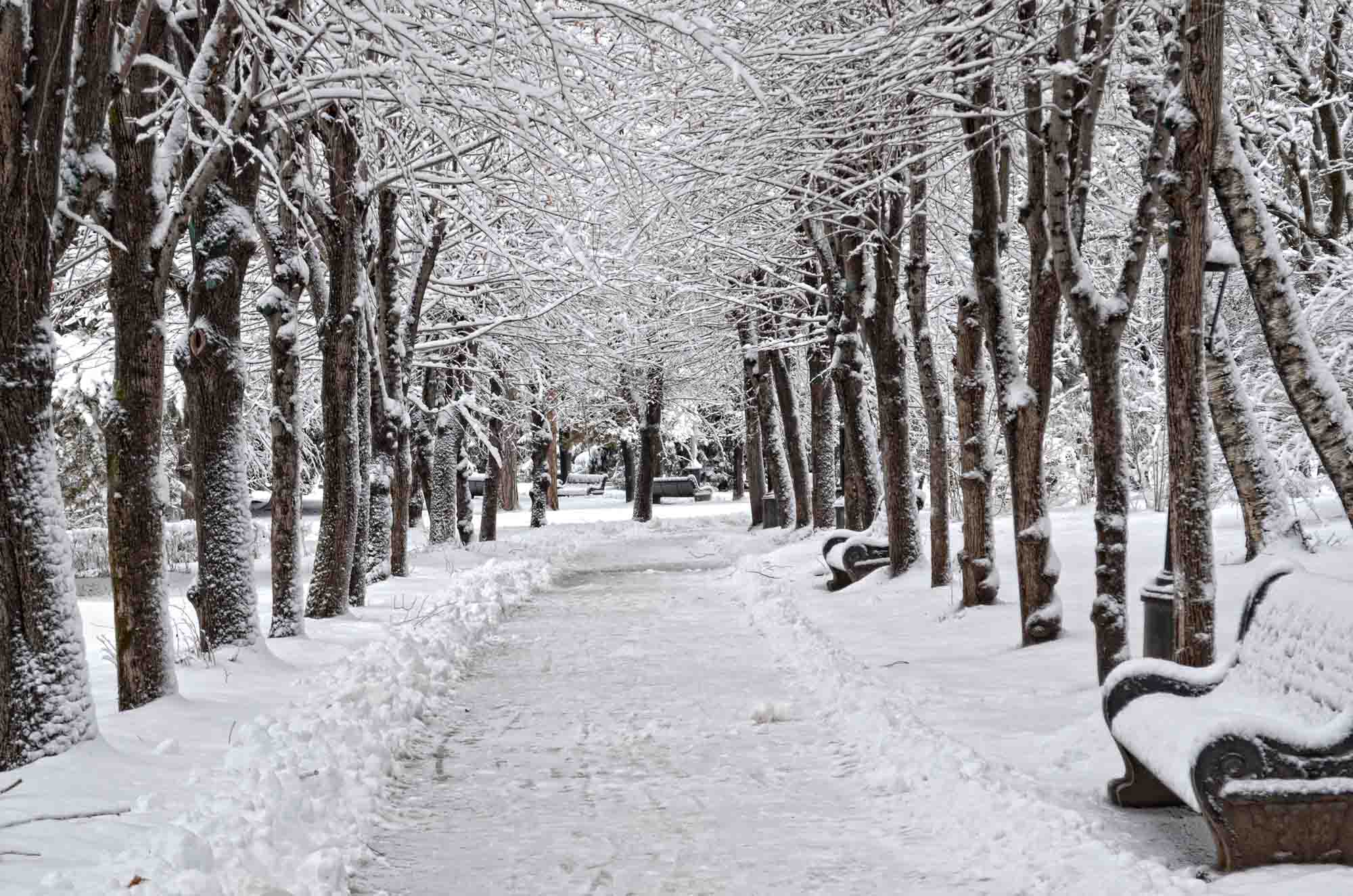 парк в кисловодске зимой