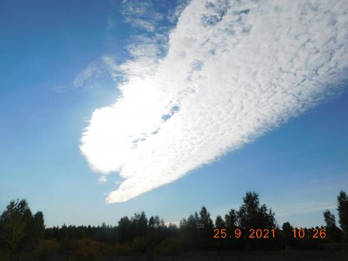 1642917442