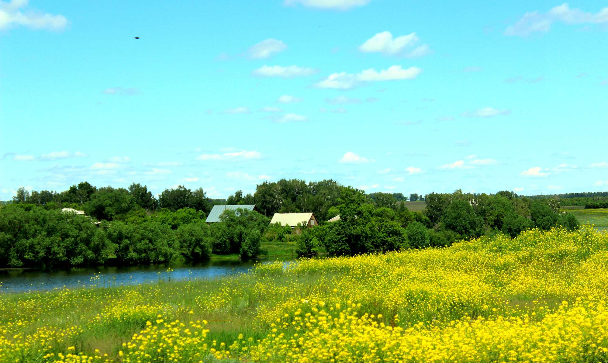 Села есть в лето. Село летом. Лето в селе. Лето вид на село. Сельский вид.