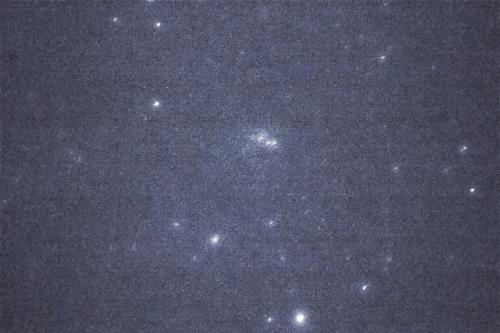 M93  ngc 2447