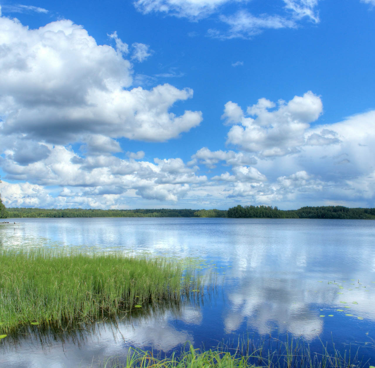 озеро городно новгородская