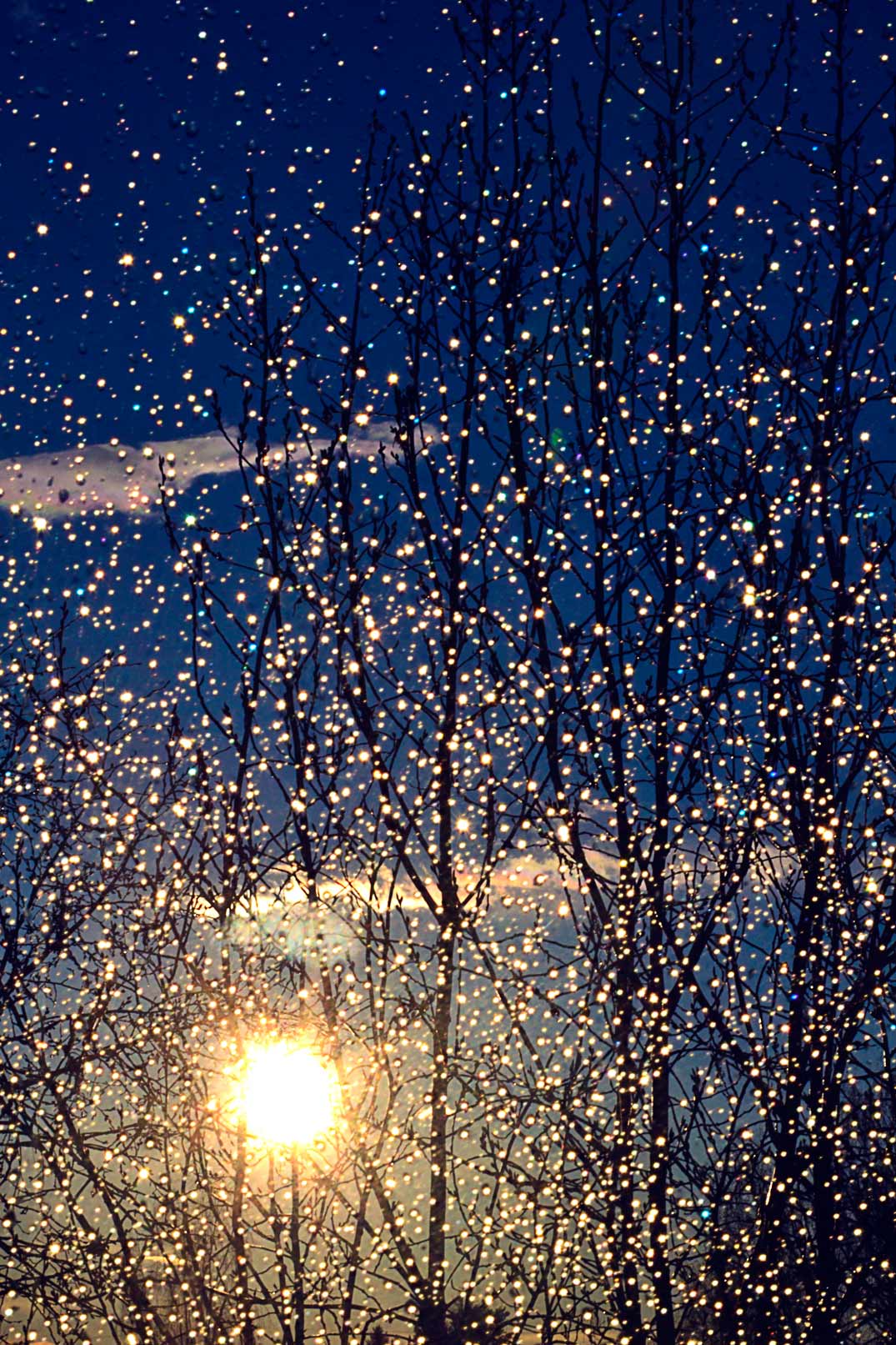 Капли дождя на стекле ночью