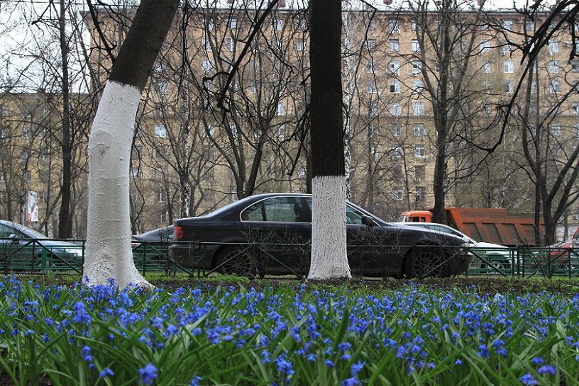 Фото улицы весной