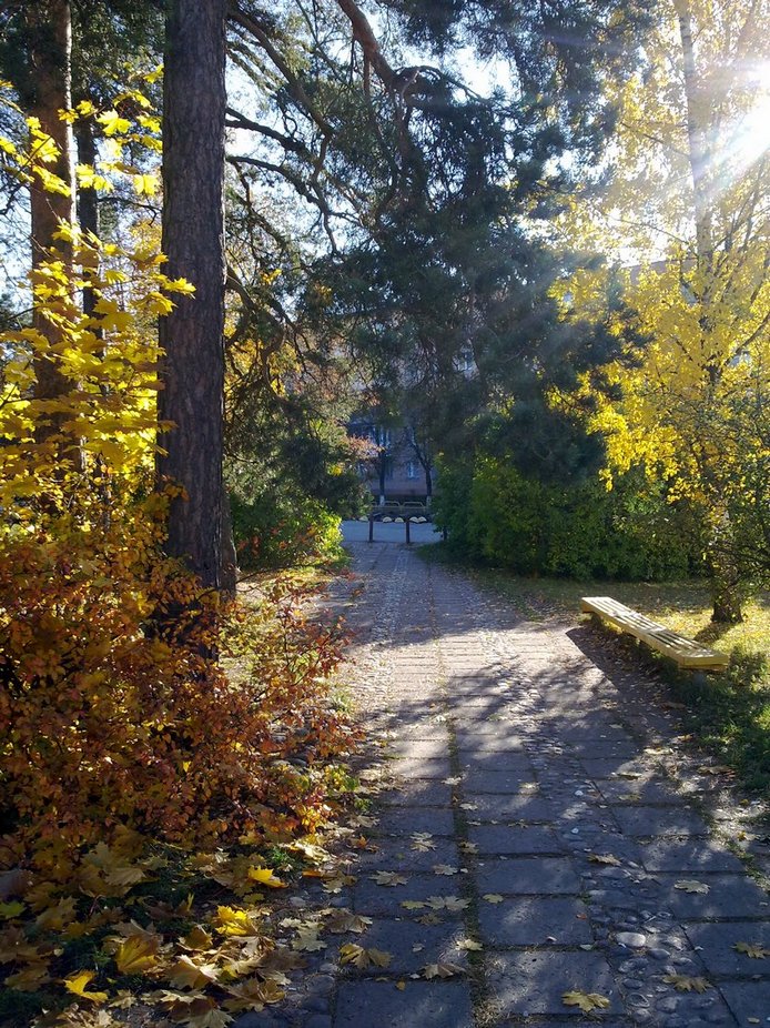 Солнечная улица. Солнечный день улица. Солнечная улица фото. Фото улица и солнце.