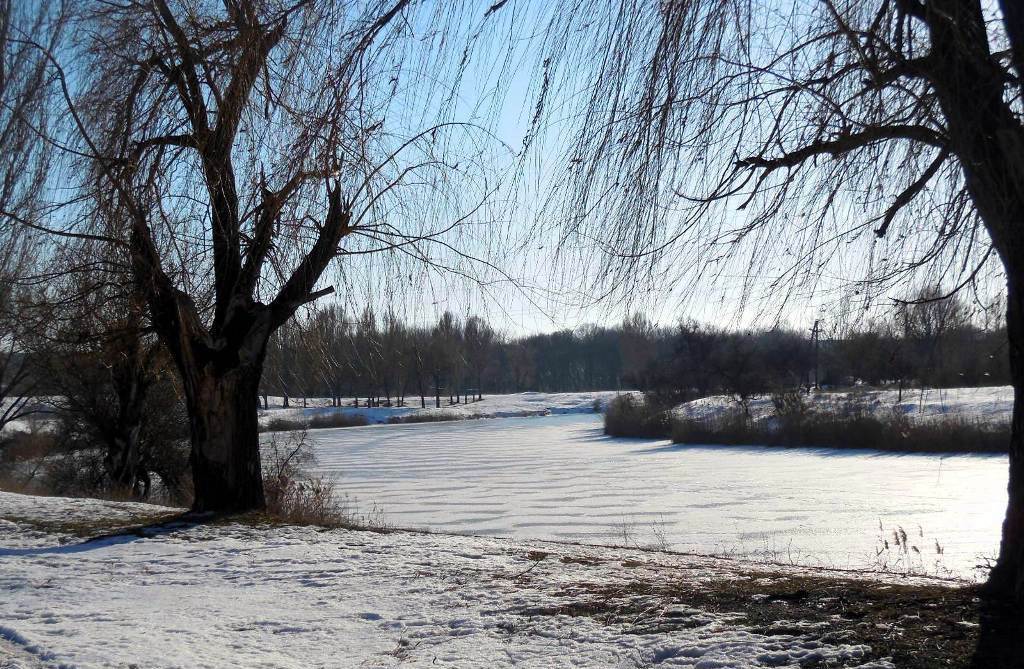 Остыли реки и земля остыла